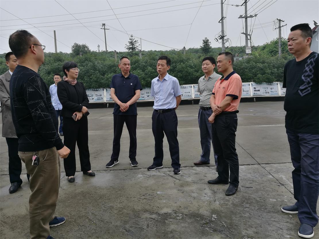 �׸����ʡ��a�I��ؚ���n�}�M�������С��ѻ����_չ�{��