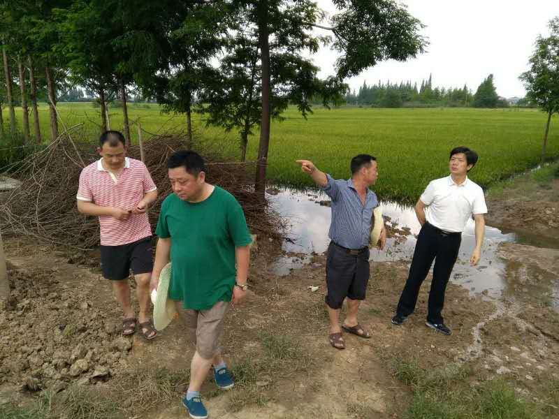 [�D��]������������ꎶ�����Ѵ����