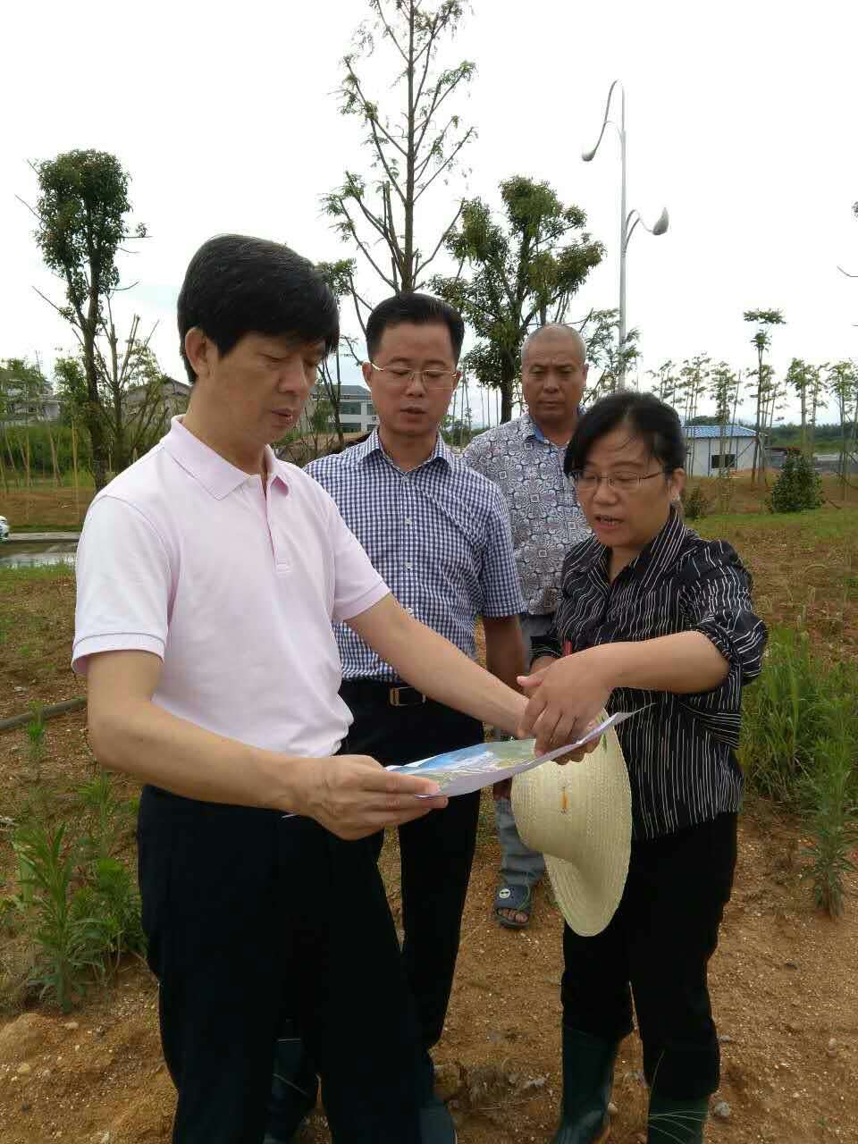 [�D��]����(zh��ng)��:�������ξ��^(q��)��Ѵ�Ȟ�(z��i)����