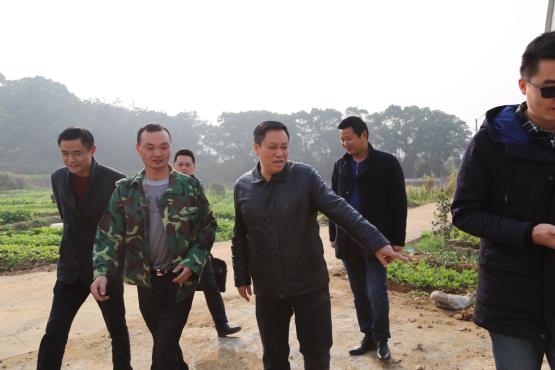 20171206155345_5547.jpg 20171206155345_5547.jpg