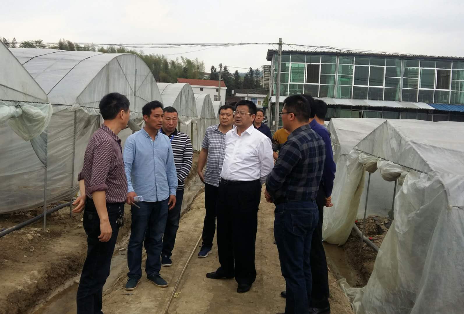 440836315.jpg 440836315.jpg