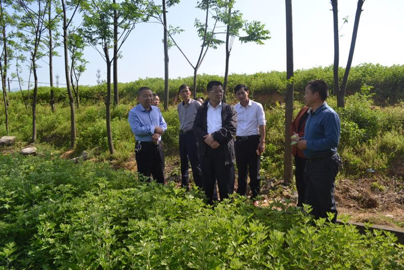 92524121.jpg 92524121.jpg