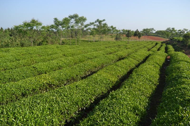 1011507082.jpg 1011507082.jpg