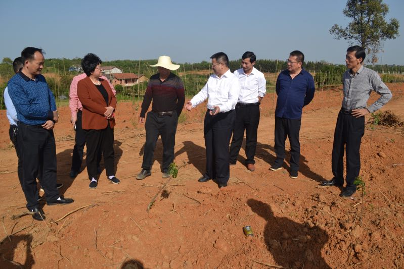 2093106995.jpg 2093106995.jpg