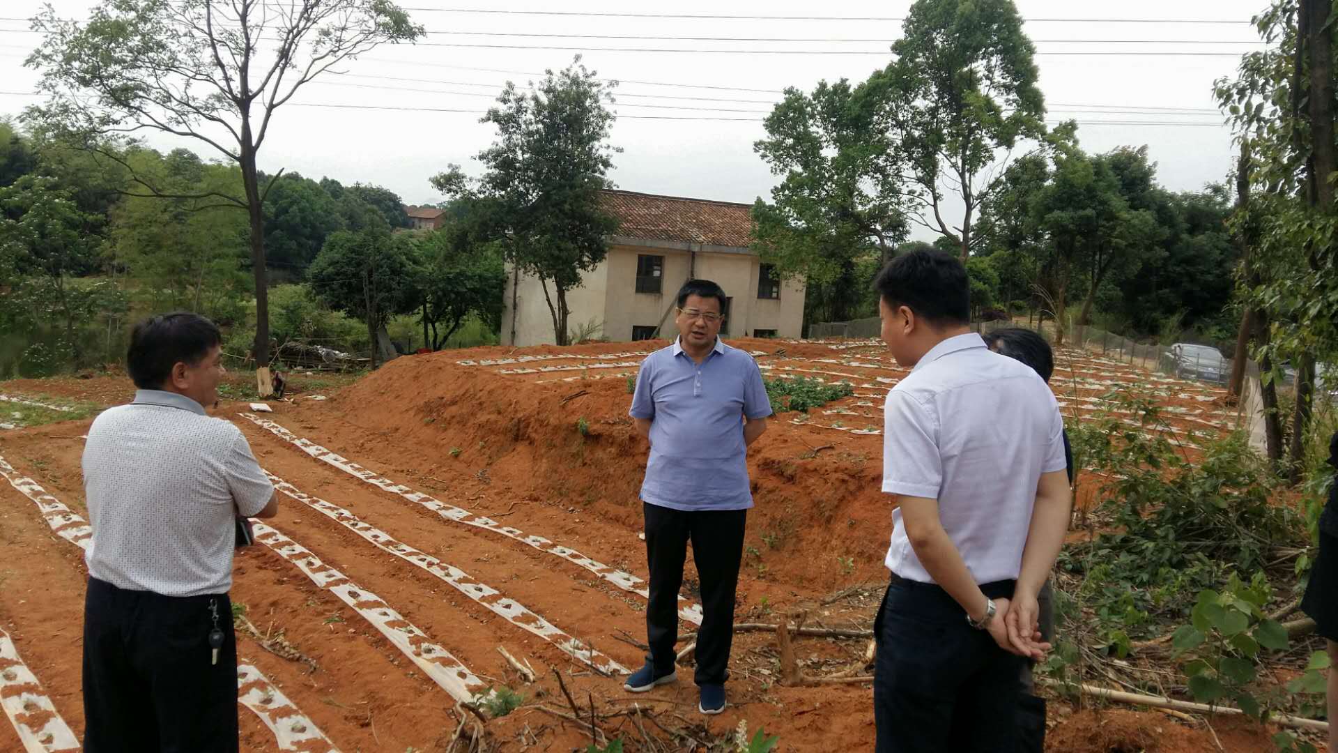 1656380479.jpg 1656380479.jpg