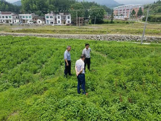 clip_image002.jpg 說明: 391829894209316269