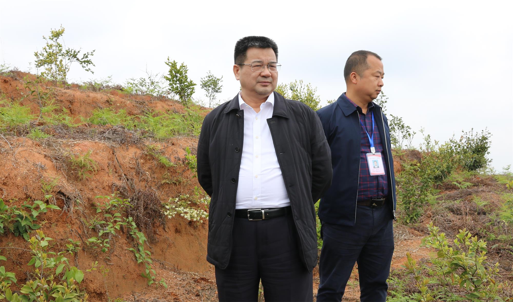 網田微信圖片_20200407095116_看圖王.jpg 網田微信圖片_20200407095116_看圖王.jpg