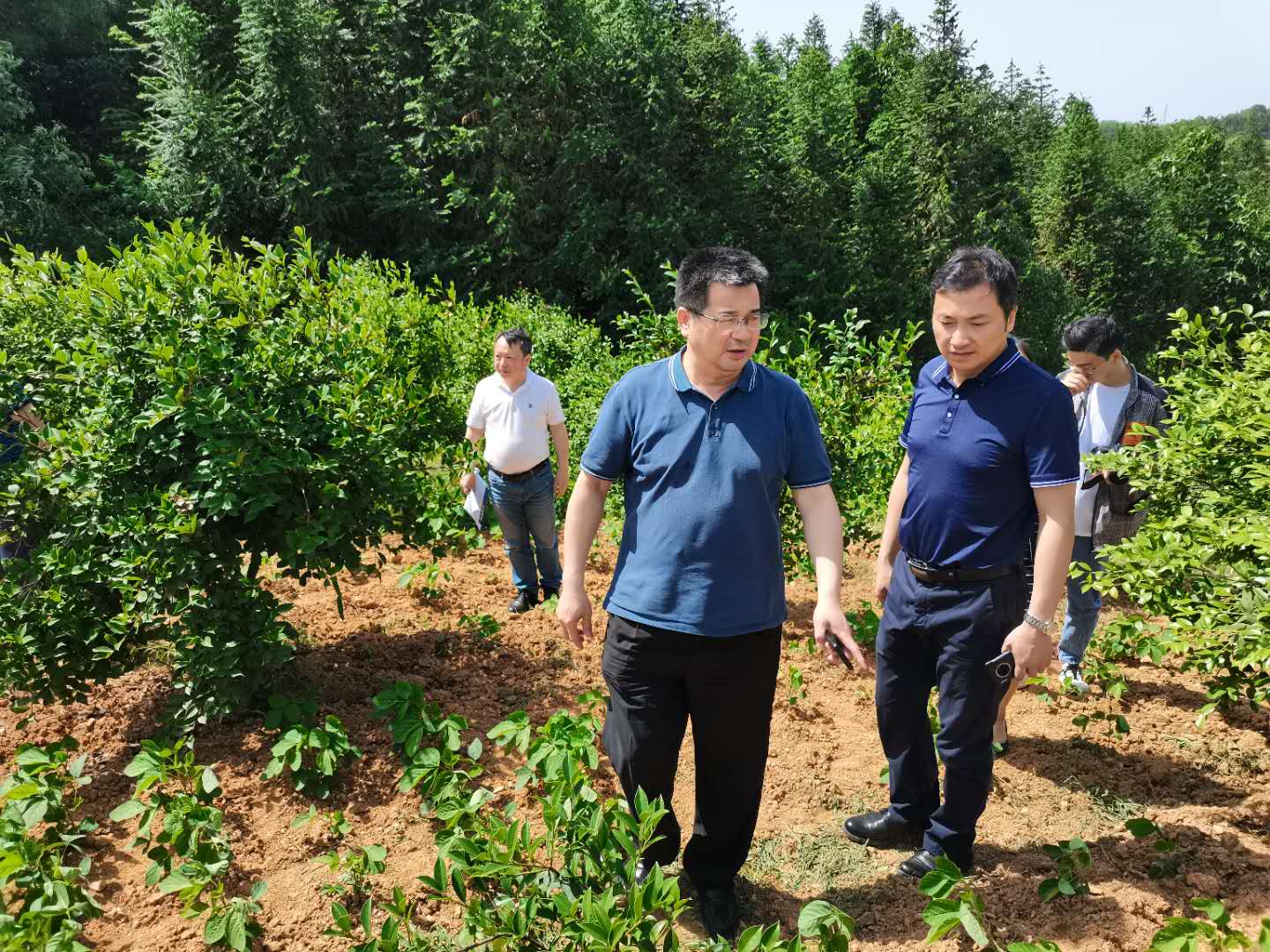 微信圖片_20200520144634.jpg 微信圖片_20200520144634.jpg