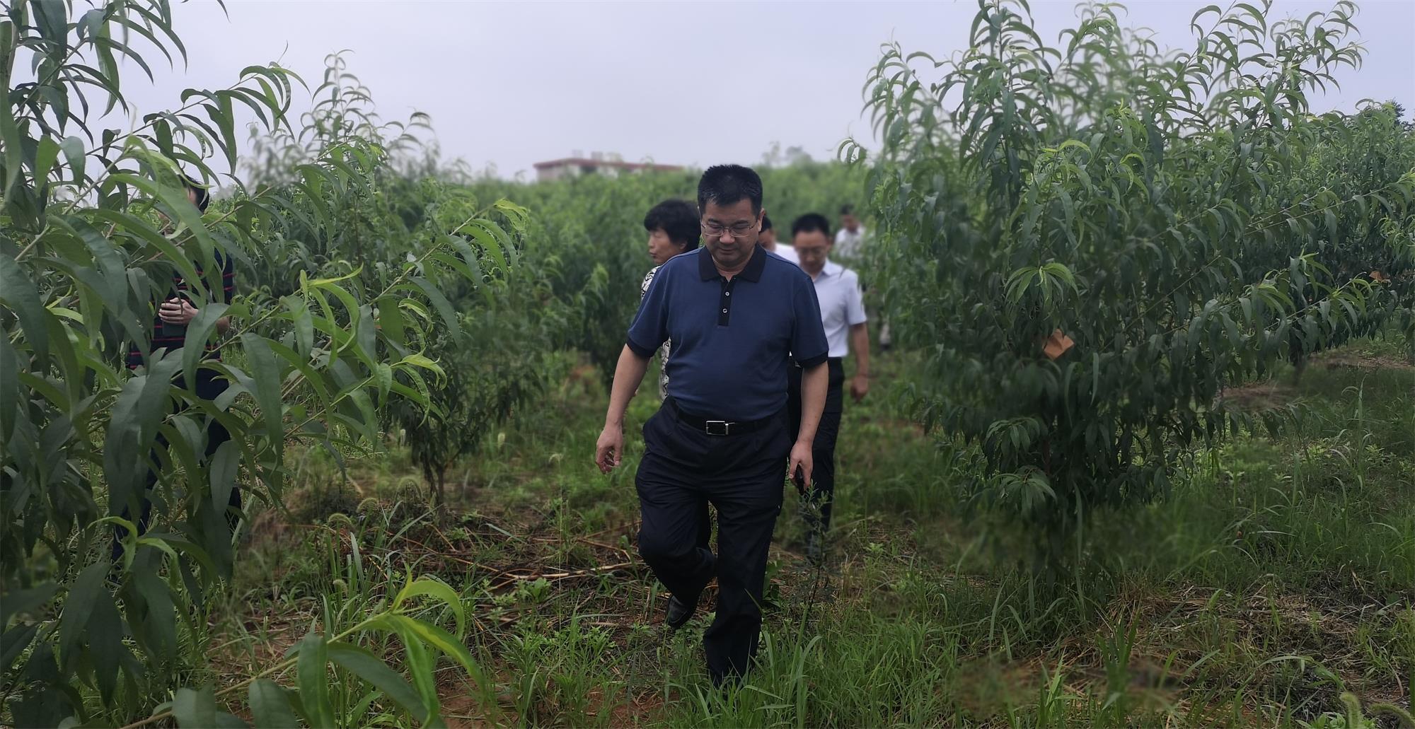 wang微信圖片_20200621211327_看圖王.jpg wang微信圖片_20200621211327_看圖王.jpg