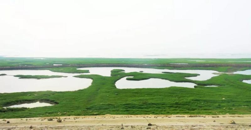 微信圖片_20181025093656.jpg 微信圖片_20181025093656.jpg