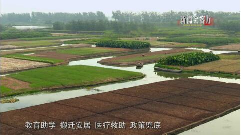 ��Ч���}����